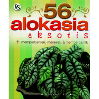 56 Alokasia Eksotis
