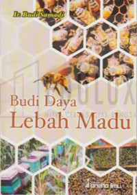 BUDIDAYA LEBAH MADU