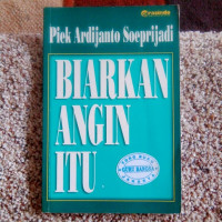 Biarkan Angin Itu