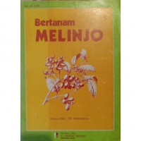 Bertanam Melinjo