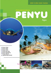 Penangkaran Penyu