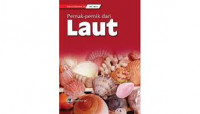 Pernak-Pernik Dari Laut