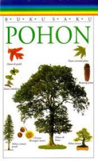 Pohon
