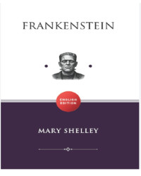 Image of Frankenstein or the modern prometuhs