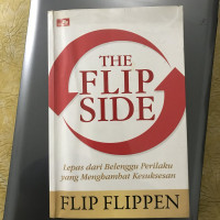 Image of The Flip Slide