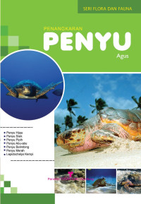 Image of Penangkaran Penyu