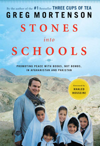 Image of Stones Into Schools